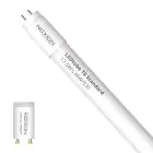 Noxion Tube LED T8 Avant (EM/Direct 230V) Standard Output 15W 1800lm - 830 Blanc Chaud | 120cm - Équivalent 36W