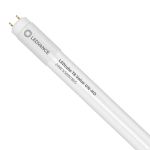 Ledvance LED Buis T8 Value (UN) High Output 24W 2800lm - 865 Daglicht | 150cm - Vervangt 58W