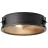 Brilliant Zois Plafondlamp Metaal Zwart | 340mm - Geschikt voor 2x E27