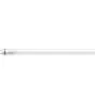 Philips MASTER LED Tube T8 (EM/Mains) Ultra Efficiency 11.9W 2500lm - 865 Daglicht | 120cm - Vervangt 36W