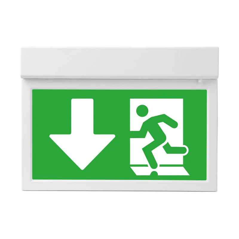emergency light